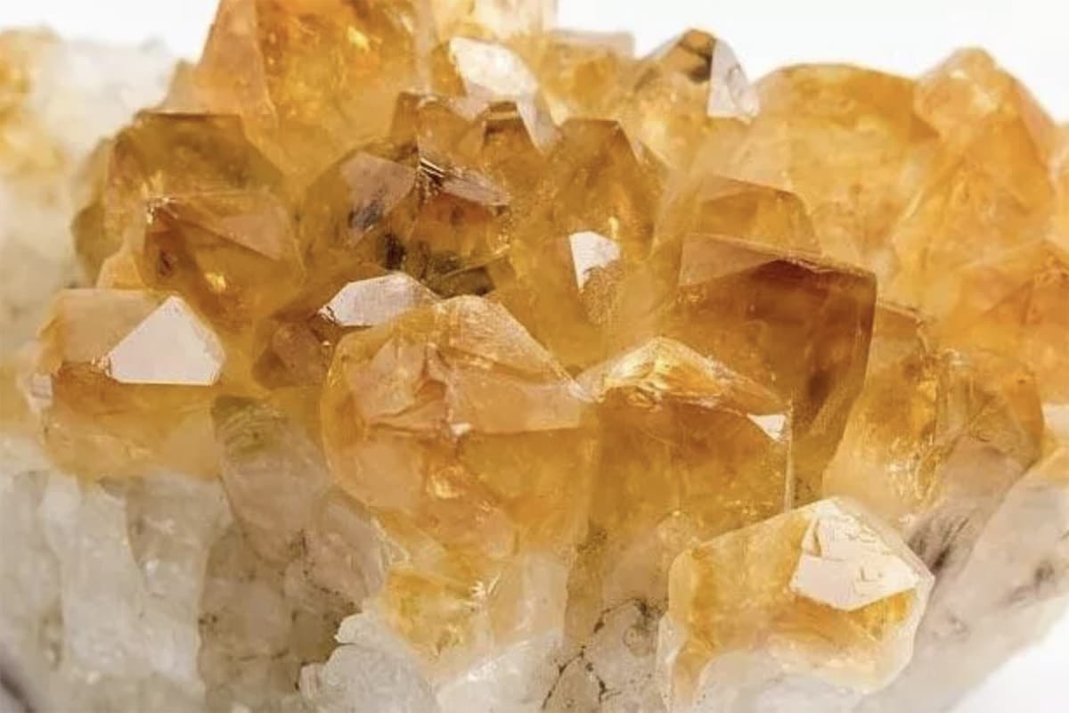 sitrin faydalari Sarkaç Adam