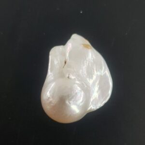 Alternative view of Barok Okyanus İncisi