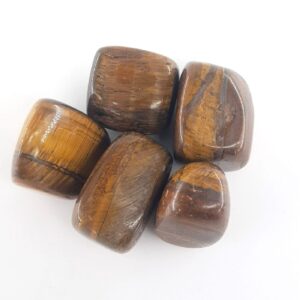 Kaplangözü Tımbıl