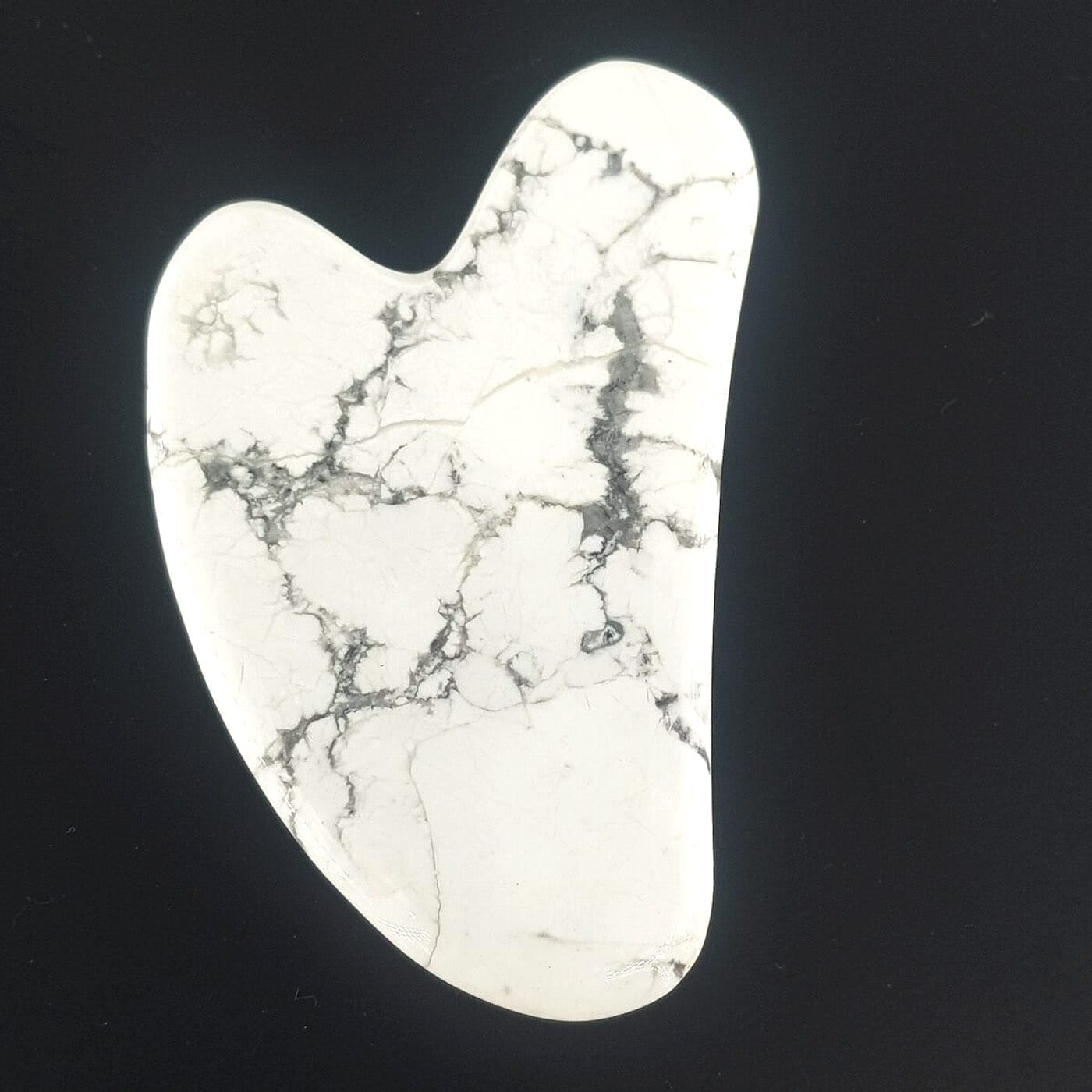 20230821 150505 scaled Sarkaç Adam