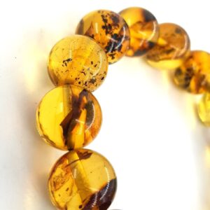 20231011 142619 scaled Sarkaç Adam