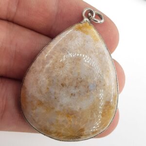 Alternative view of Fosil Mercan Kolye Ucu