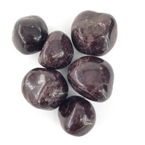 Garnet Tımbıl M Boy