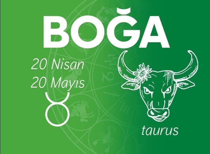 boga burcu dogal taslar Sarkaç Adam