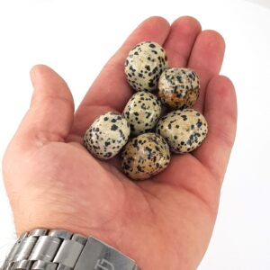 Alternative view of Dalmaçya Jasper Tımbıl