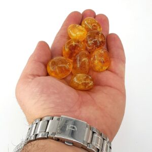 Alternative view of Sitrin Tımbıl