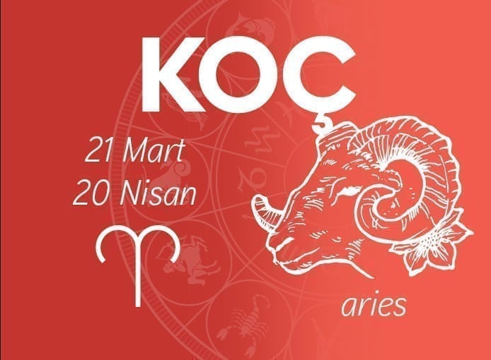 koc burcu dogal taslar Sarkaç Adam