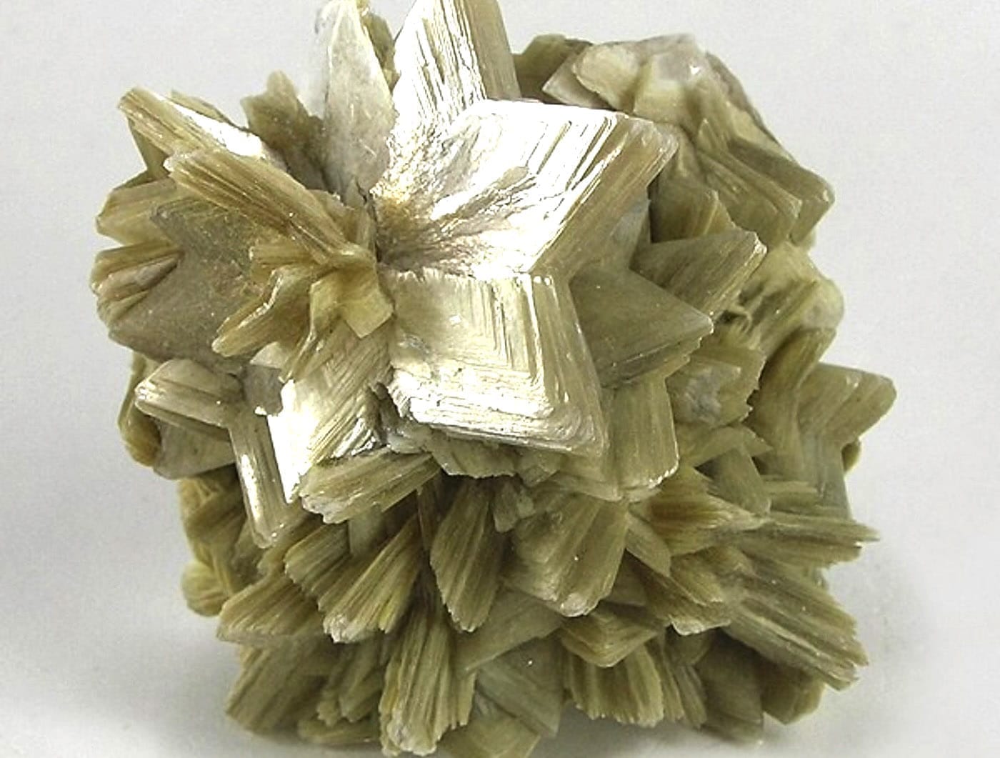 muskovit Sarkaç Adam