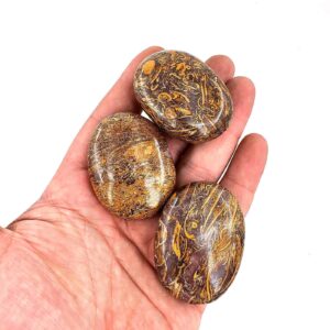 Miriam Jasper Spa Taşı