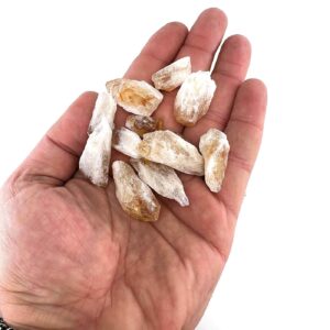 Sitrin Diş 5 li Set