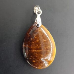 Kaplangözü Kolye Ucu