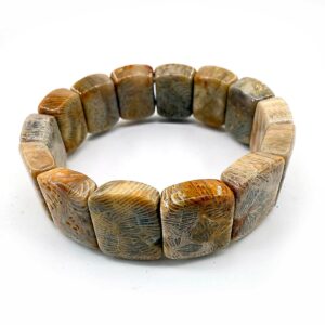 Fosil Mercan Rolex Bileklik