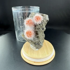 Alternative view of Thomsonit Ham Taş