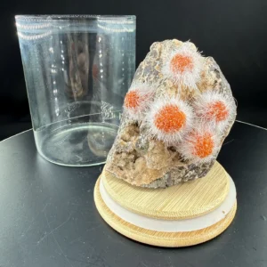 Alternative view of Thomsonit Ham Taş