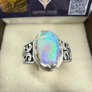 13556 2 Sarkaç Adam