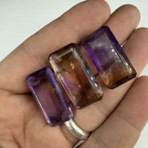 24076 1 Sarkaç Adam